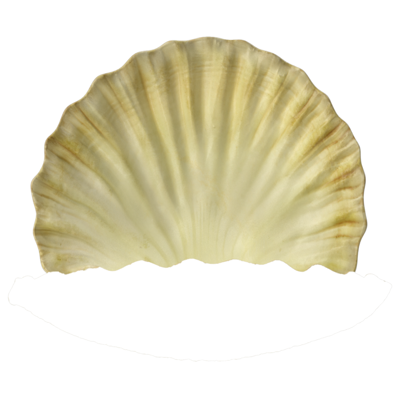 Shell
